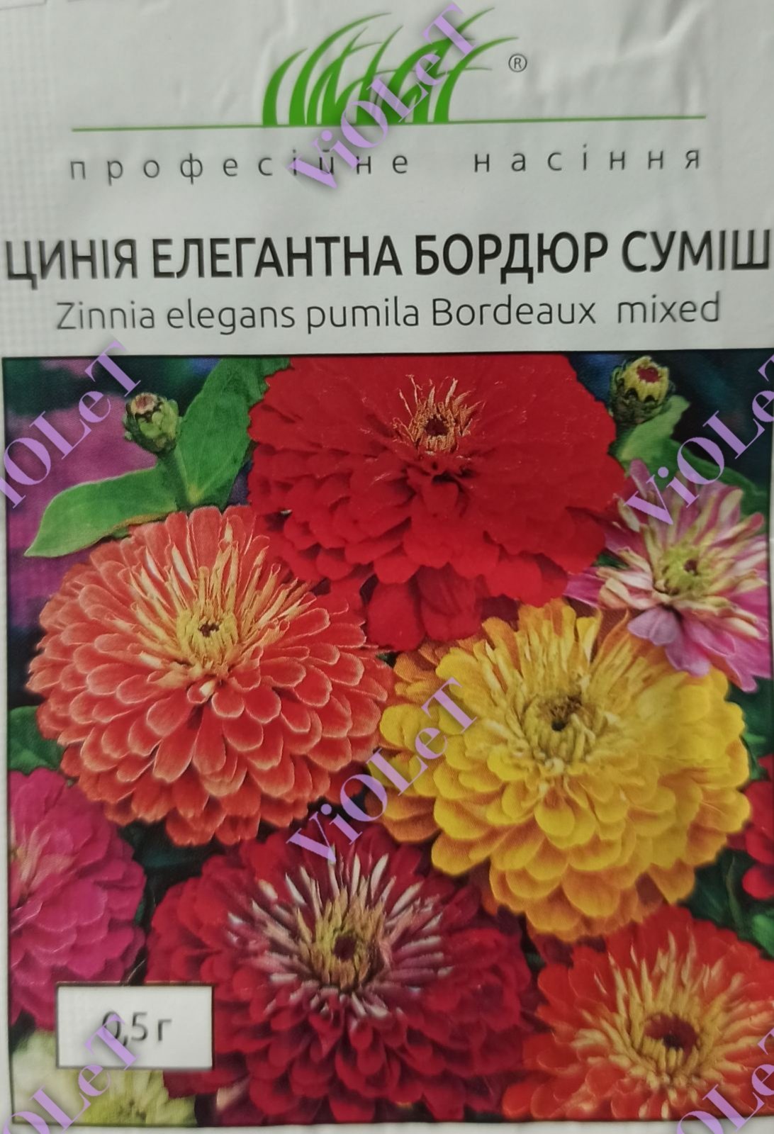 Цинія Елегантна Бордюр суміш, 0,5 г Професійне насіння