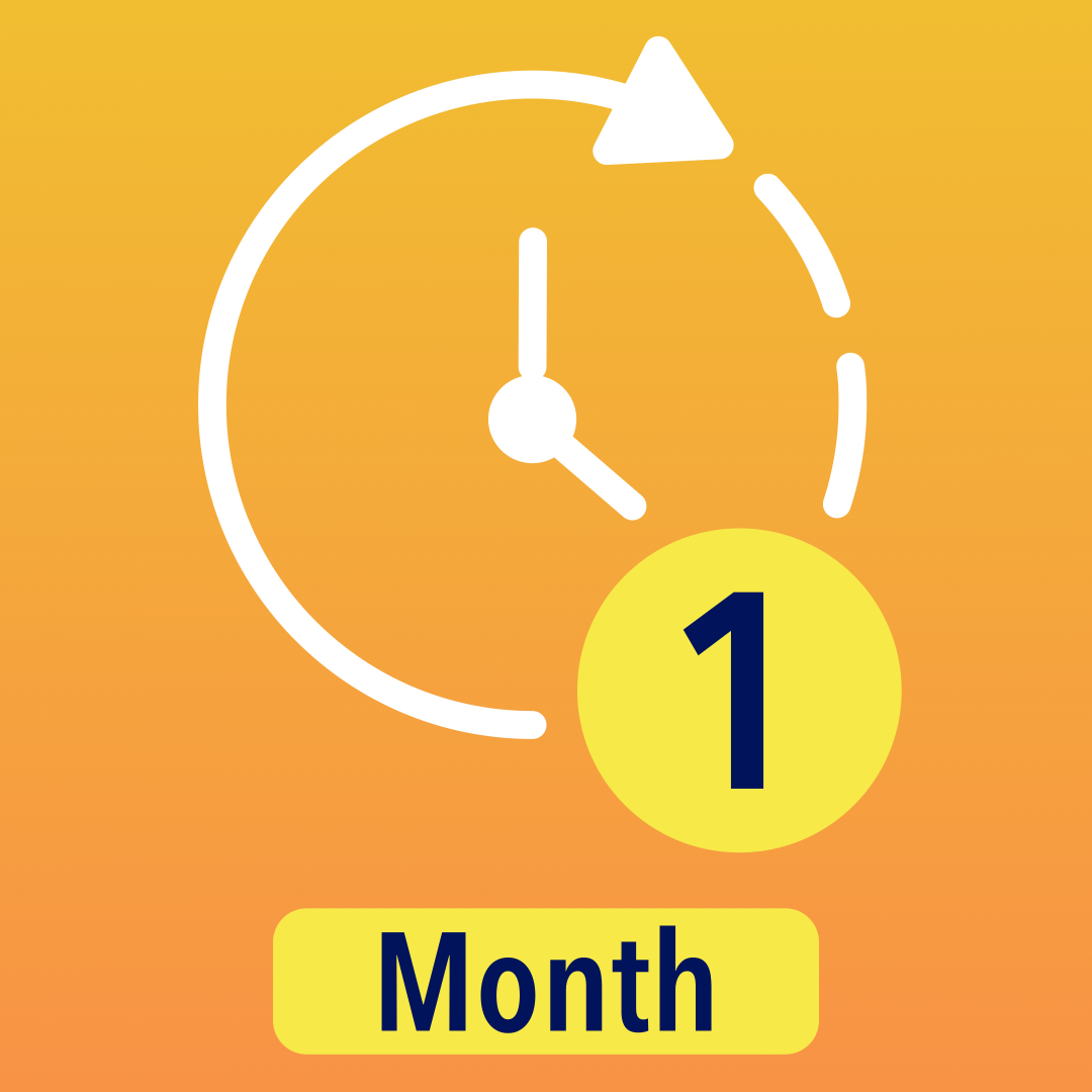 Extension of the course (1 month)