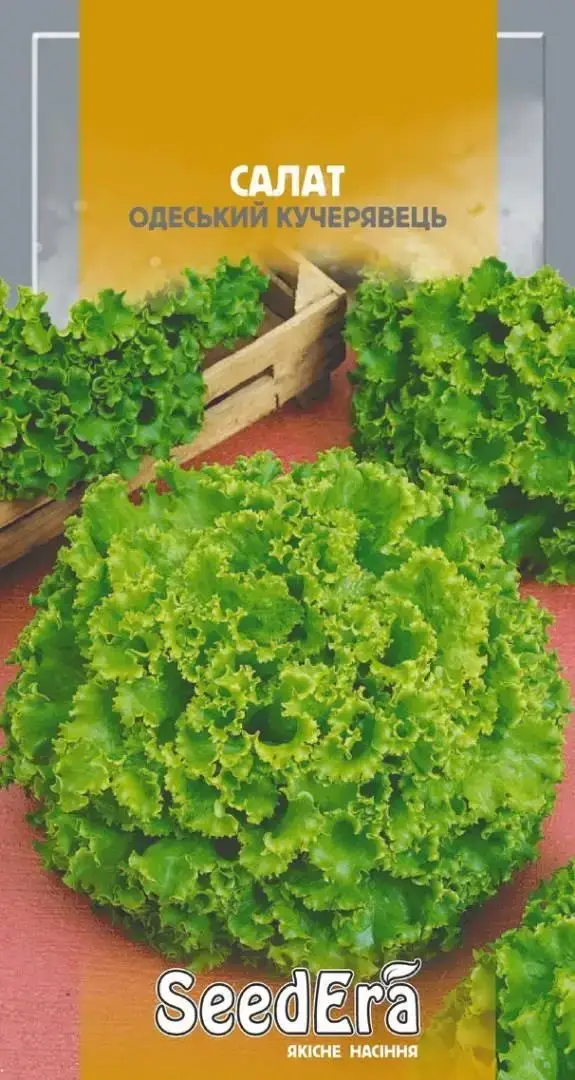 Салат Кучерявець Одеський (листовий)SEEDERA  10 г