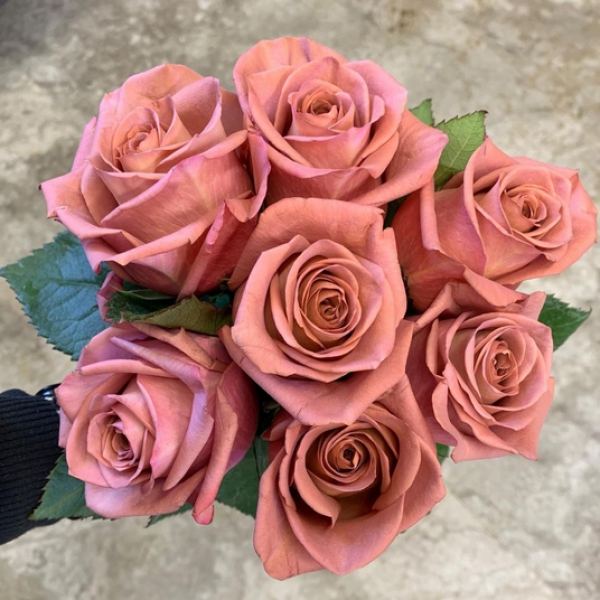 Баріста — Barista