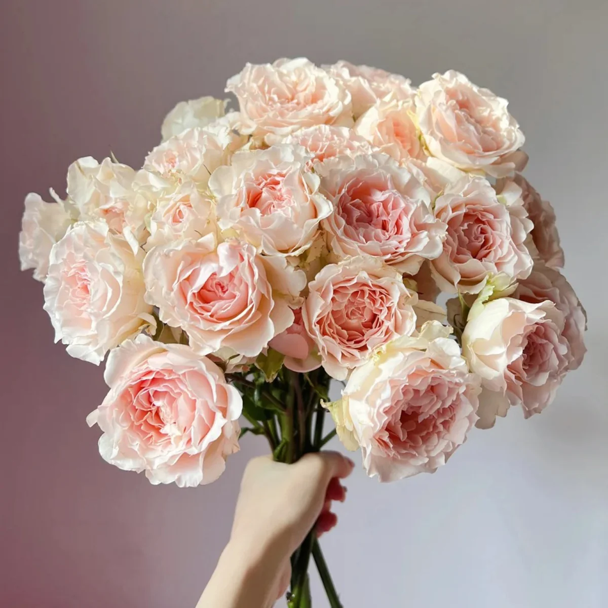 Веддінг Роузевер - Wedding Rosever®