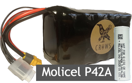 6S2P MOLICEL P42A