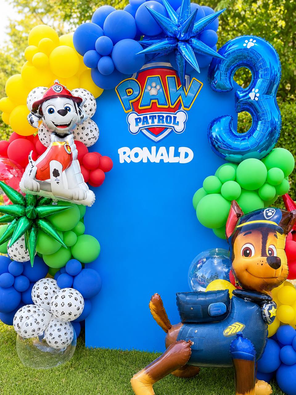 Paw Patrol Birthday Balloon Backdrop