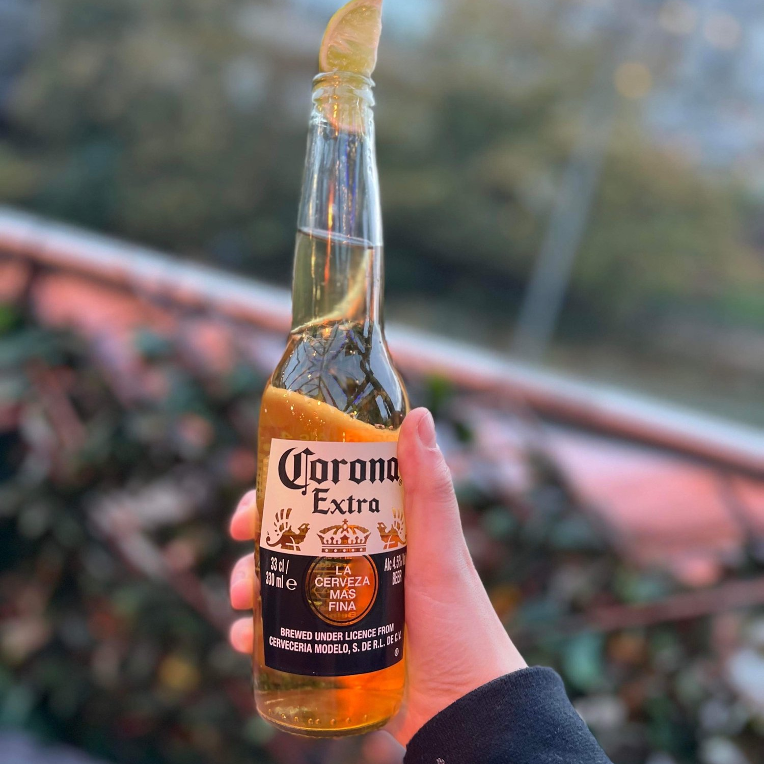 Corona extra