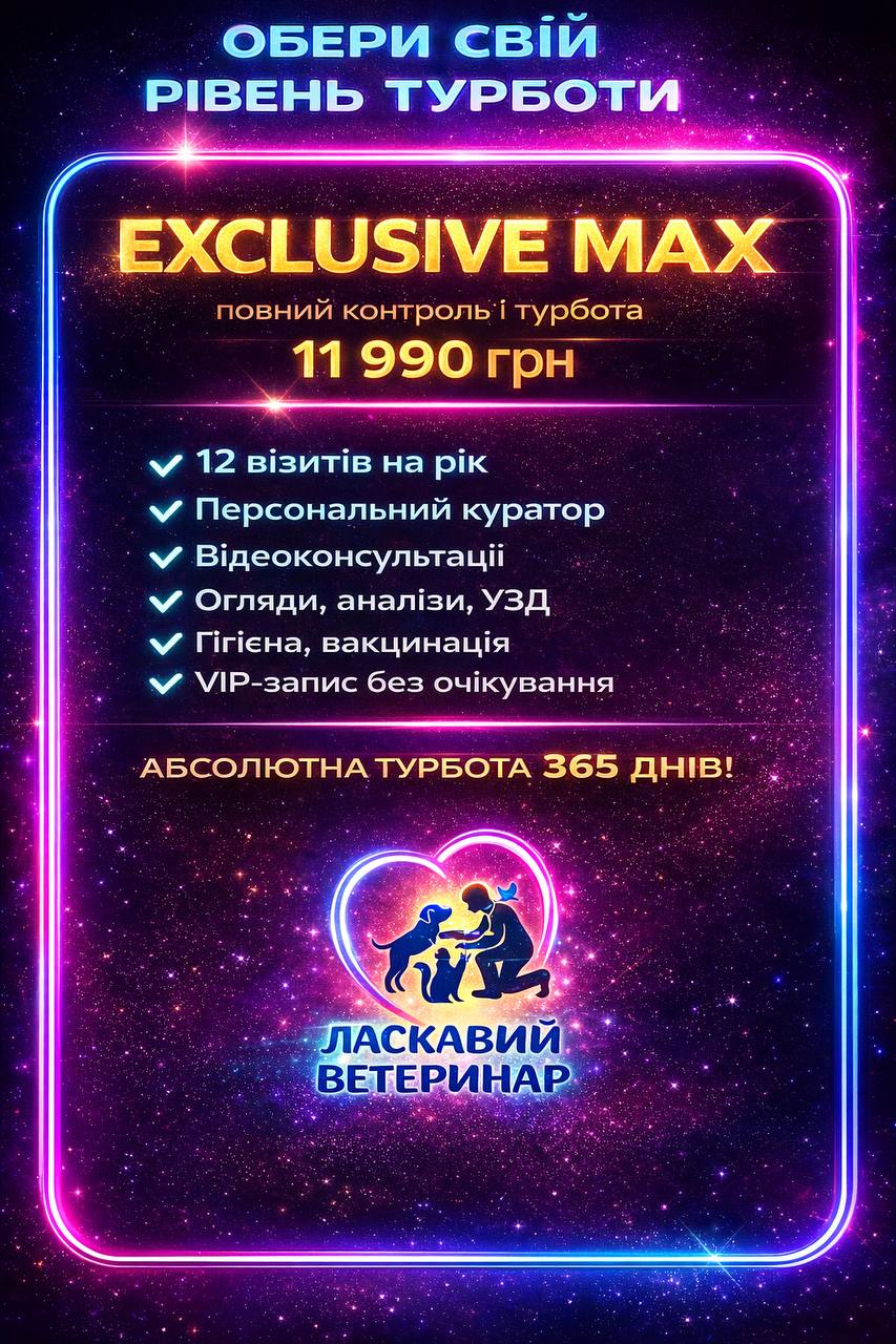 ПАКЕТ "EXCLUSIVE MAX"