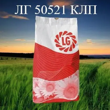 Насіння соняшнику ЛГ 50521 КЛП Limagrain, насіння високоврожайного соняшнику Лімагрейн
