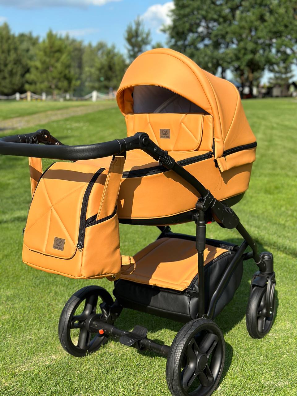 Коляска 2в1 Baby Pram Berta Eco