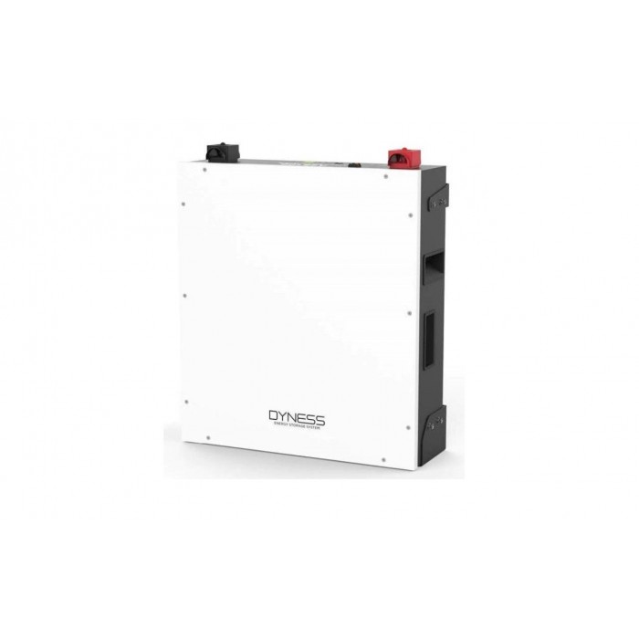 Акумуляторна батарея Dyness DL5.0C Heating (5,12 кВт*год/ 51,2 В)