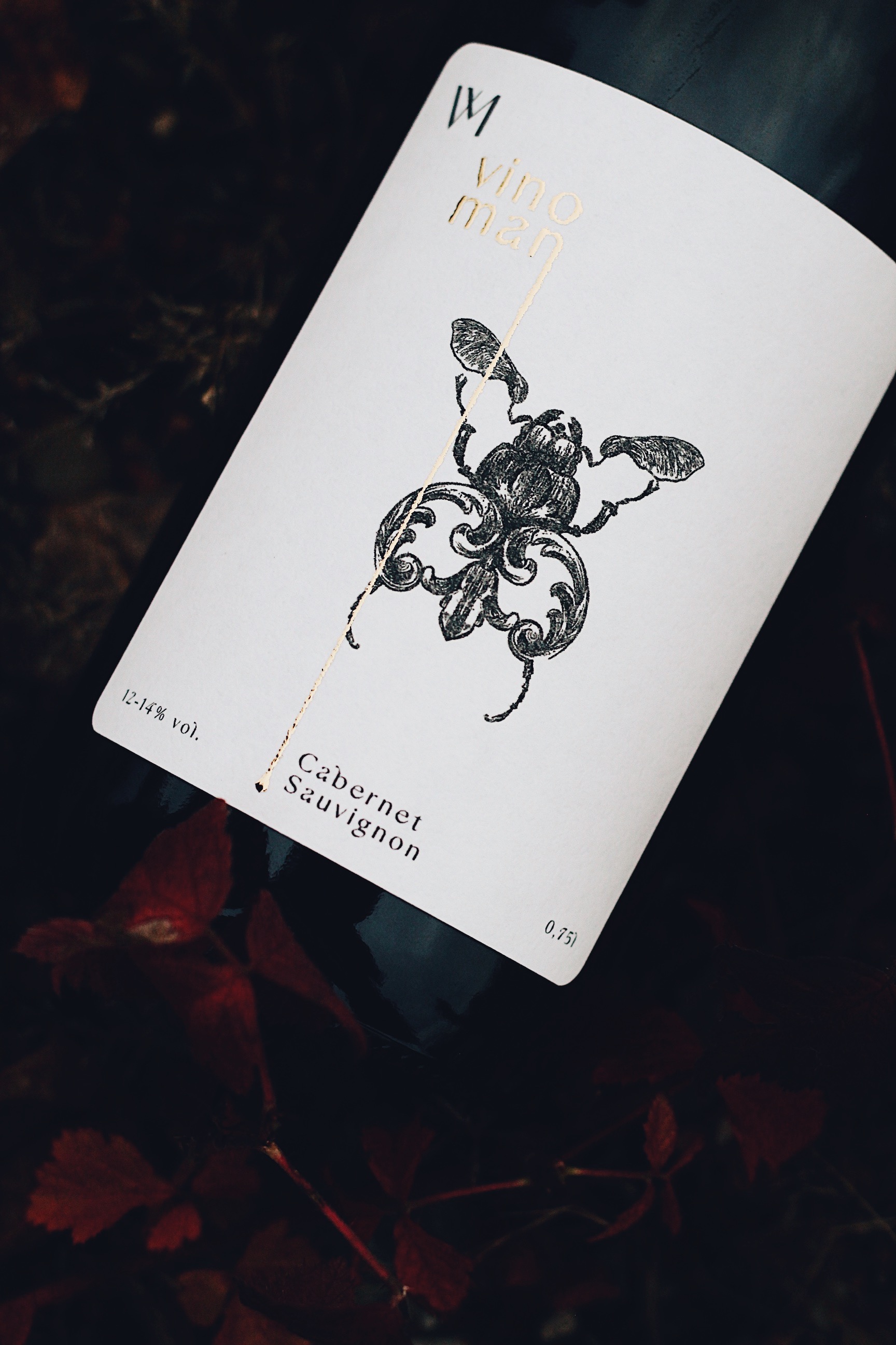 CABERNET SAUVIGNON reserve 2024