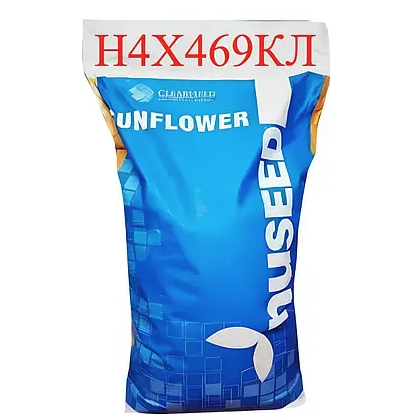 Насіння соняшнику Н4Х469 КЛ Nuseed, насіння високоврожайного соняшнику Нусід
