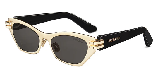 DIOR CDior B3U B0A0 53