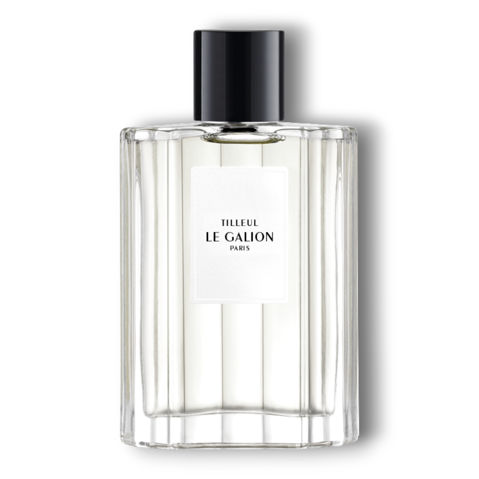Le Galion Tilleul