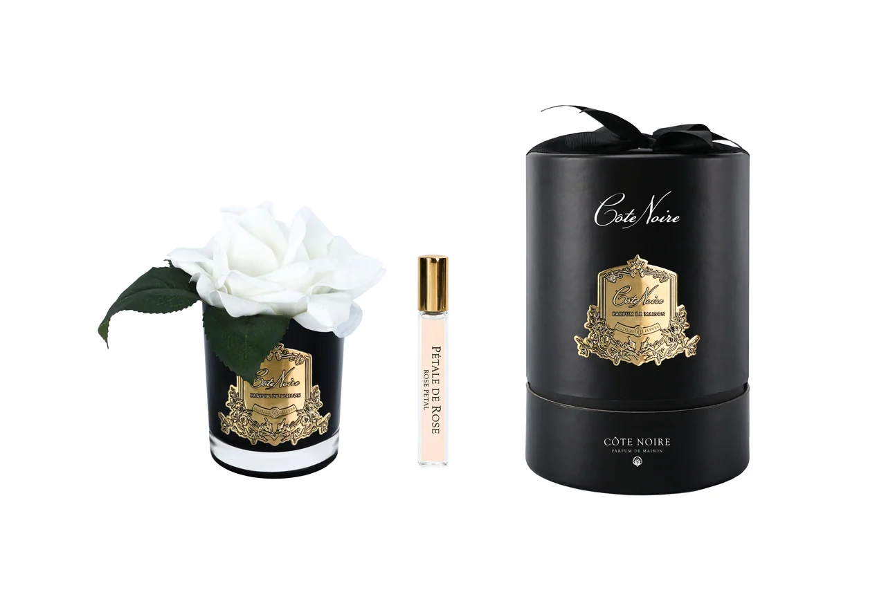 Аромаквіти Cote Noire French Rose White & Black Glass - ароматична біла троянда у чорній скляній вазі