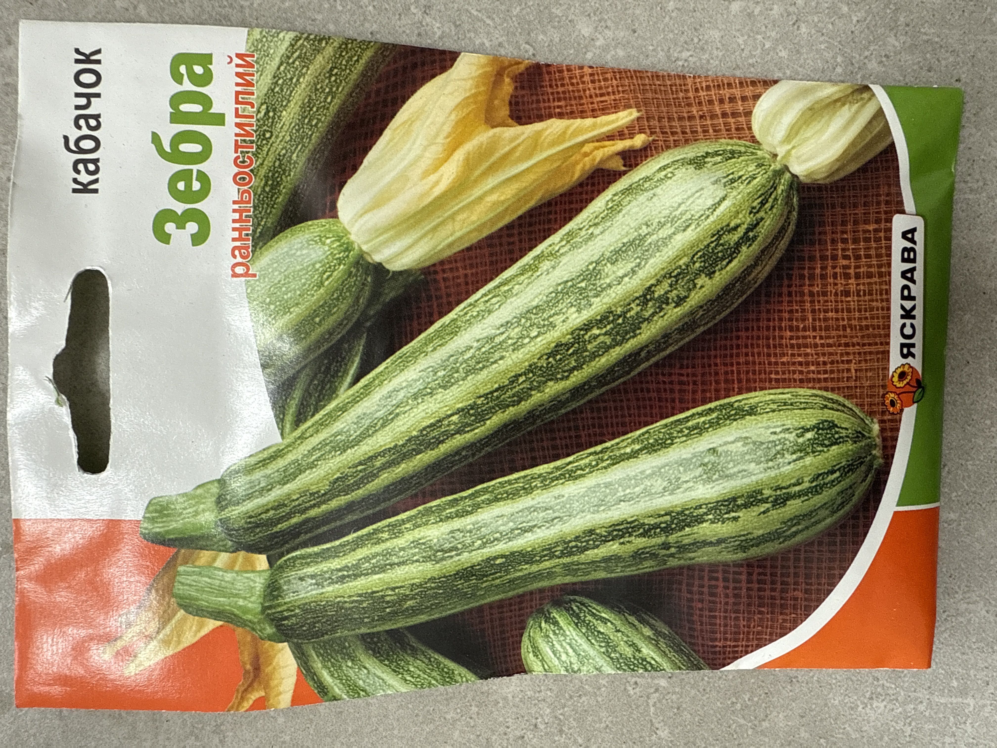 Кабачок зебра