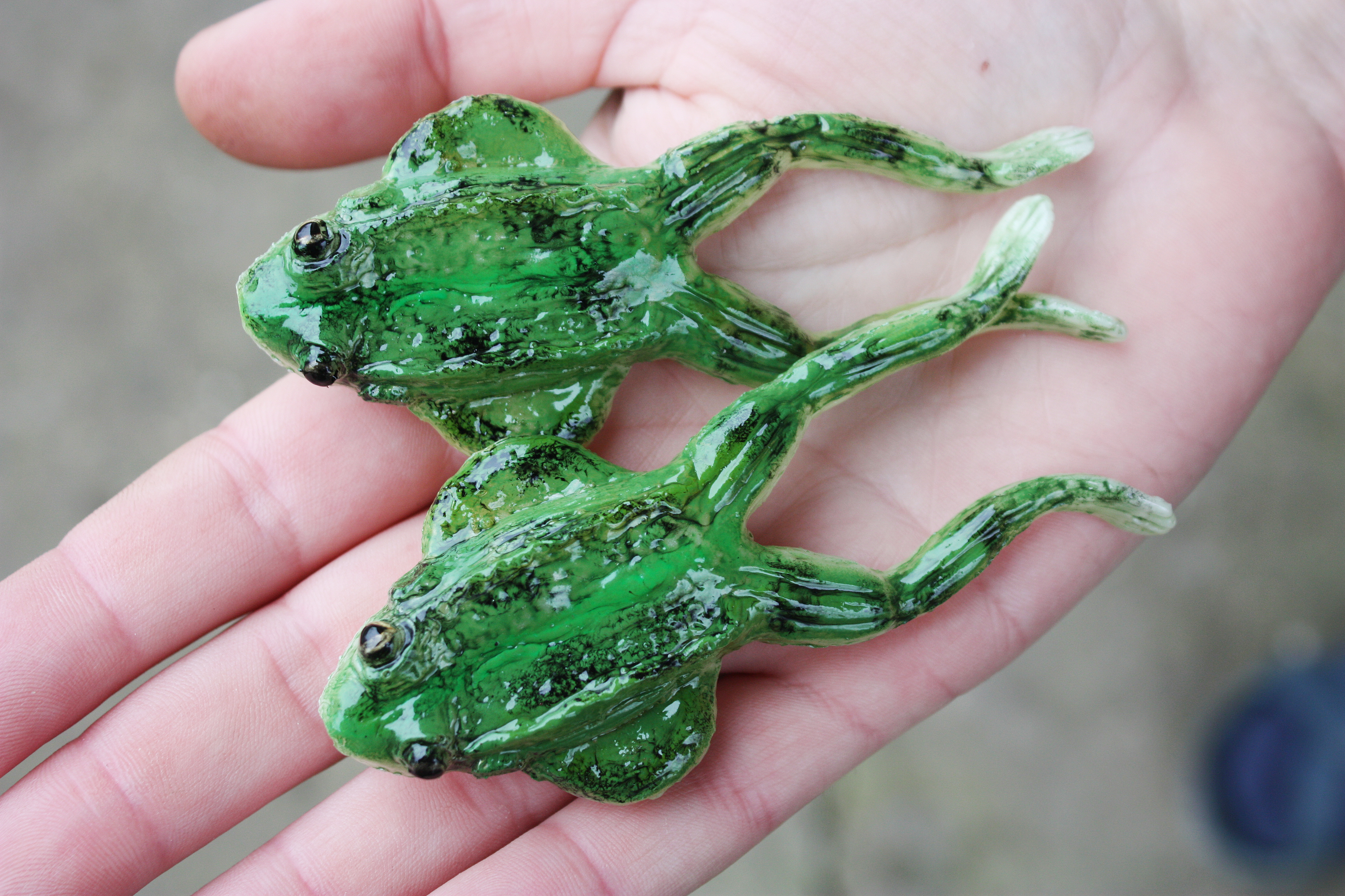 A&S Big Frog 4 (100мм) Green