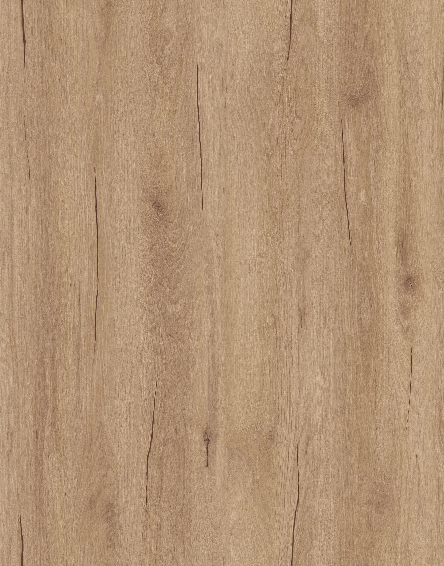 Дуб Хадсон Біскотті