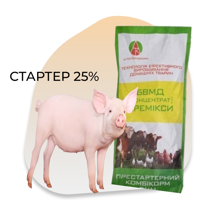 Стартер 25%