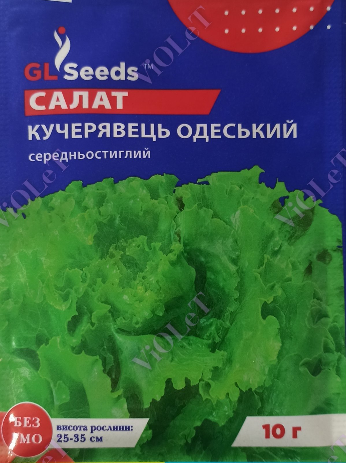 Салат Кучерявець Одеський, GL Seeds