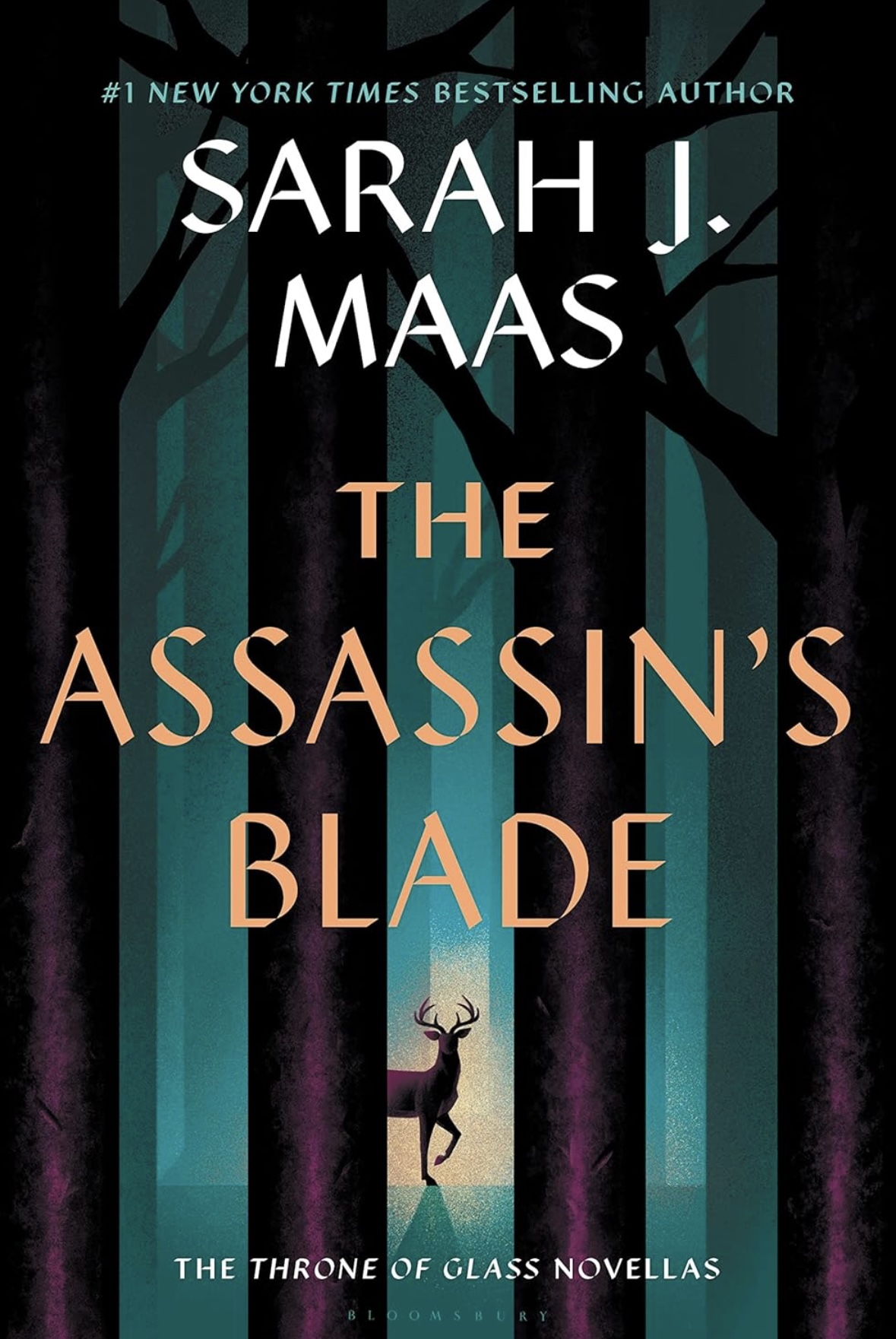 The assassin’s blade Sarah J. Maas