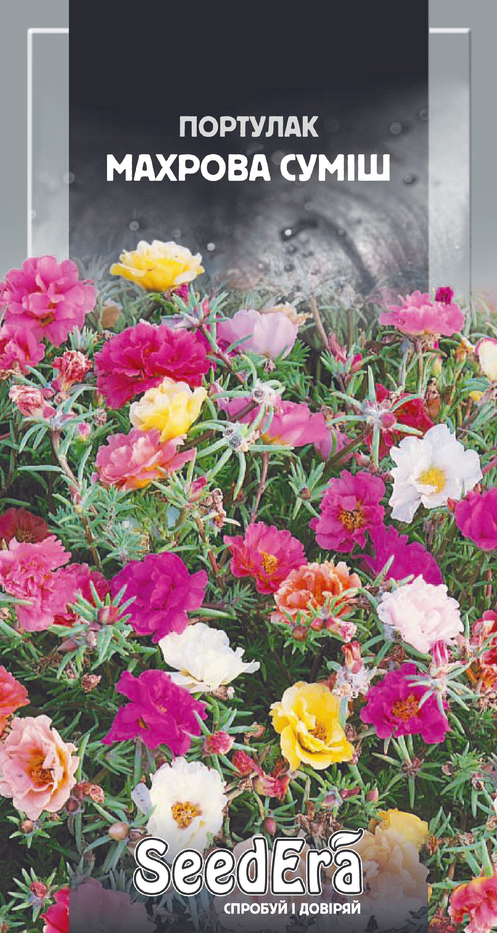Насіння Квіти Портулак махрова суміш, 0,1 г