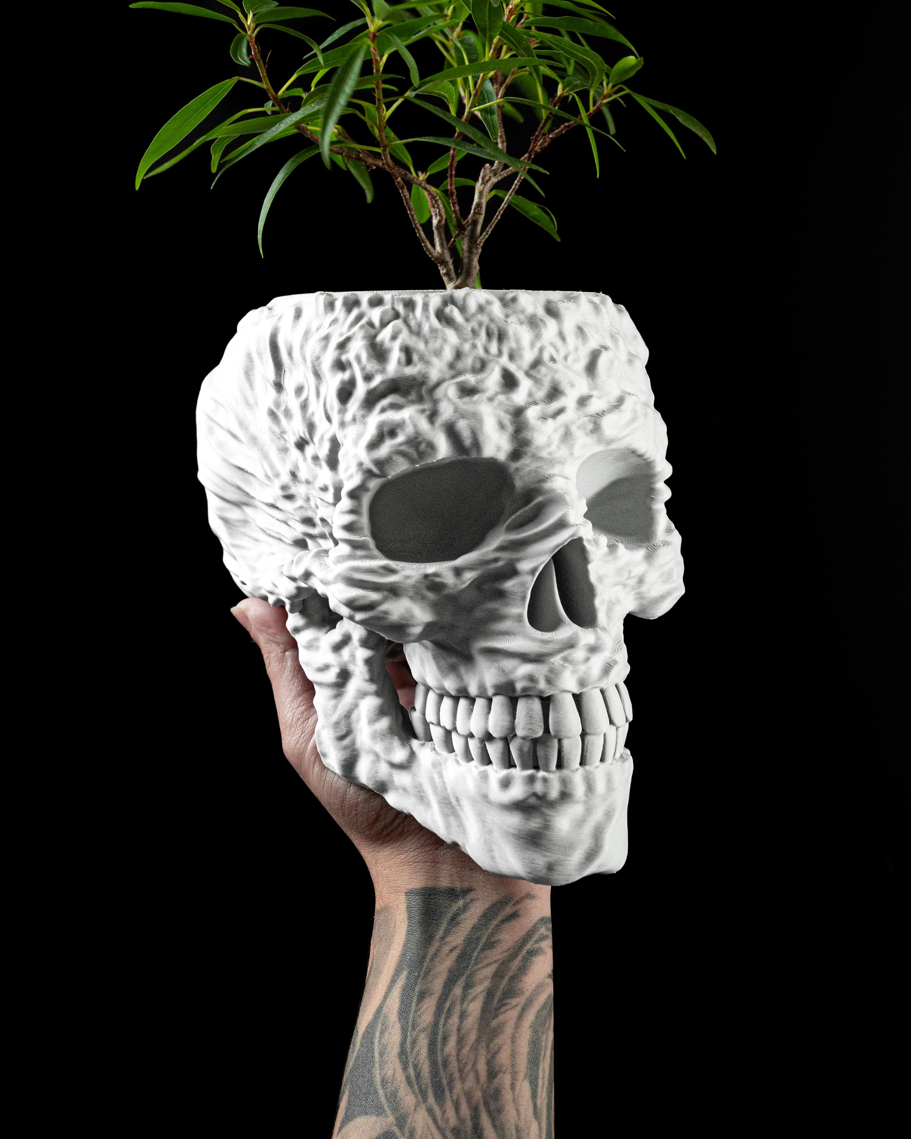 Skull Planter Pot – Modern 3D Printed Planter