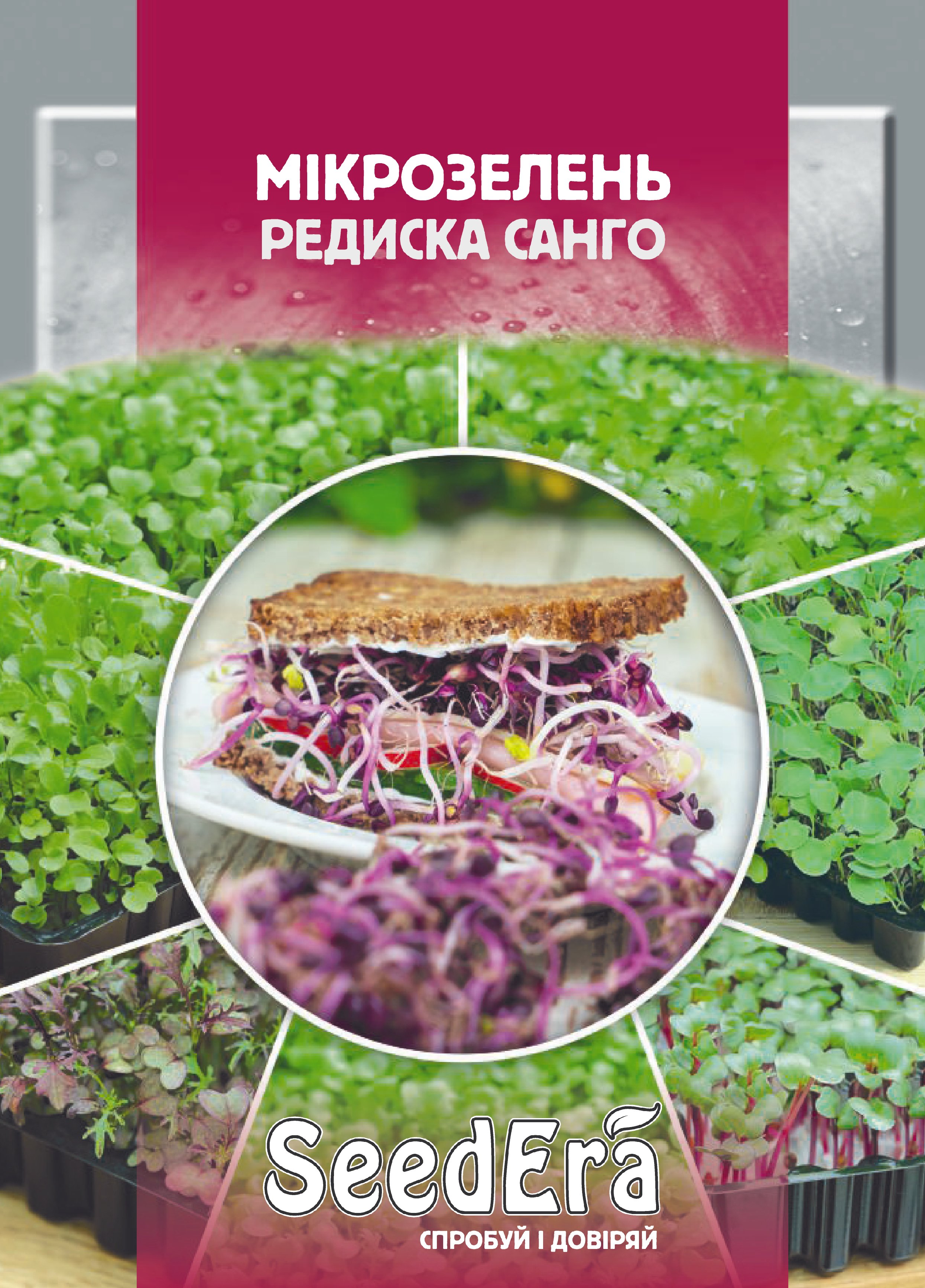 Насіння Мікрозелень РЕДИСКА САНГО, 10 г (фіолетовий листок)