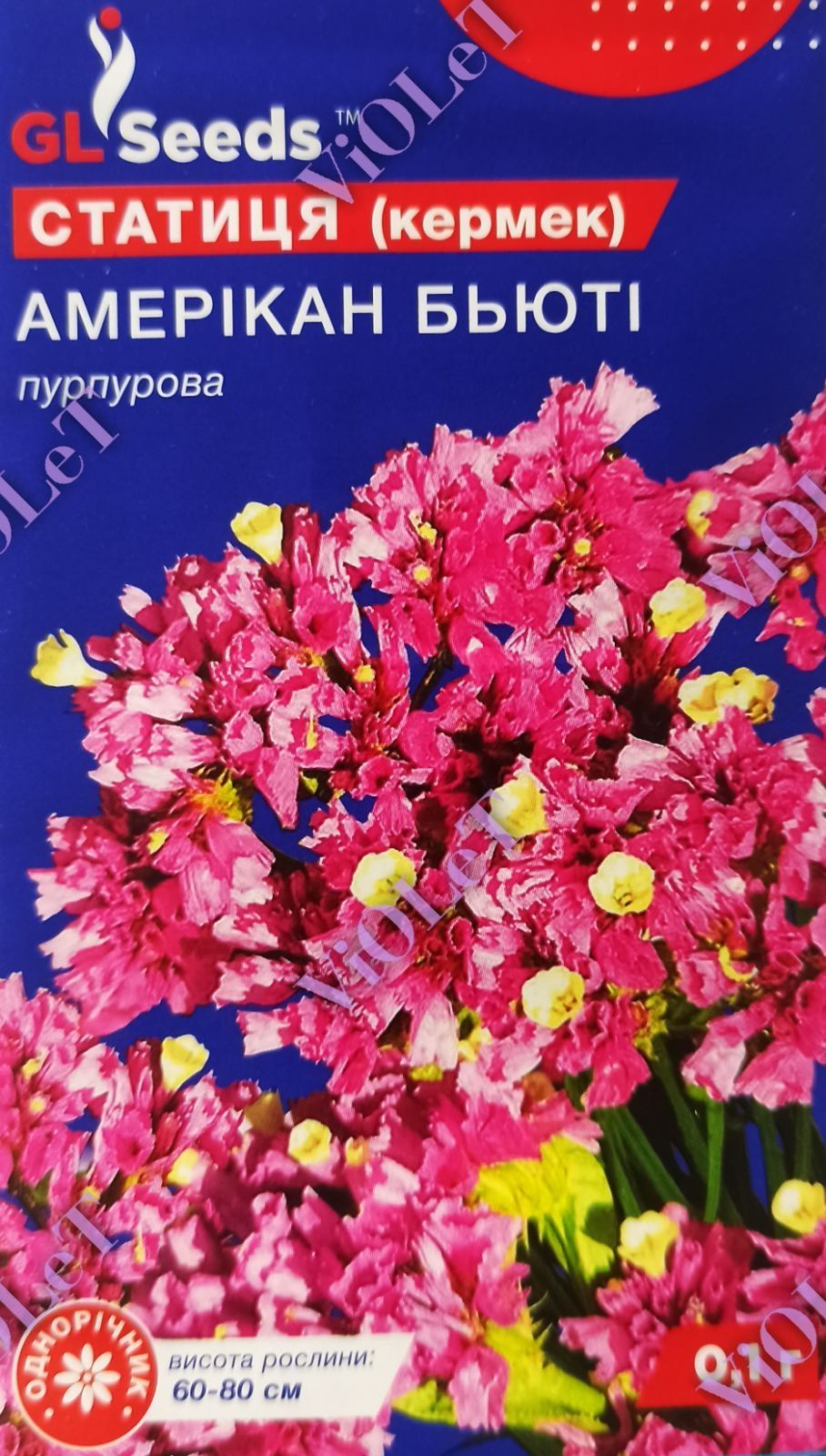 Статиця (кермек) Амерікан Бьюті пурпурова, 0,1 г GL Seeds