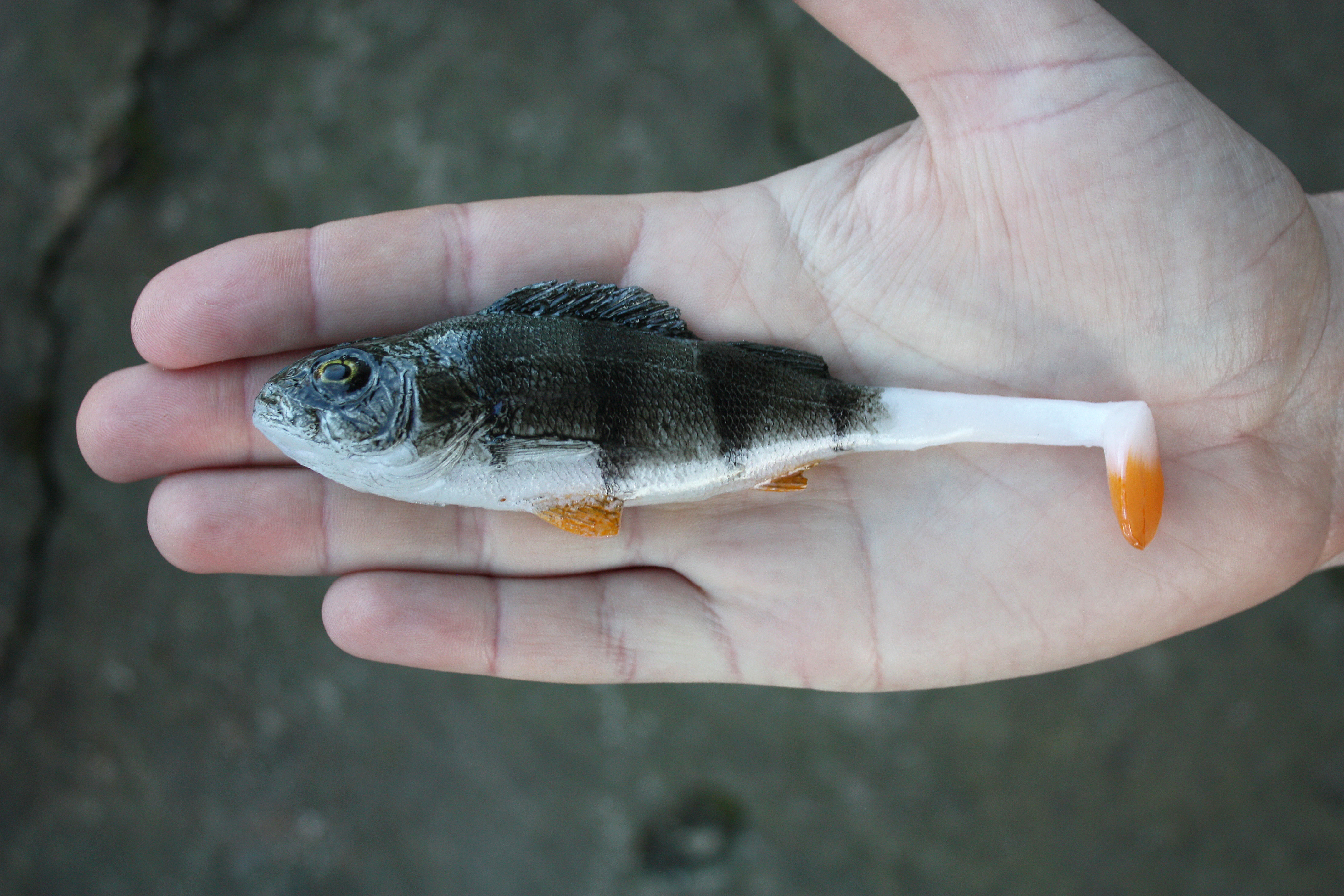 A&S Aggressive Perch 5" (130мм)