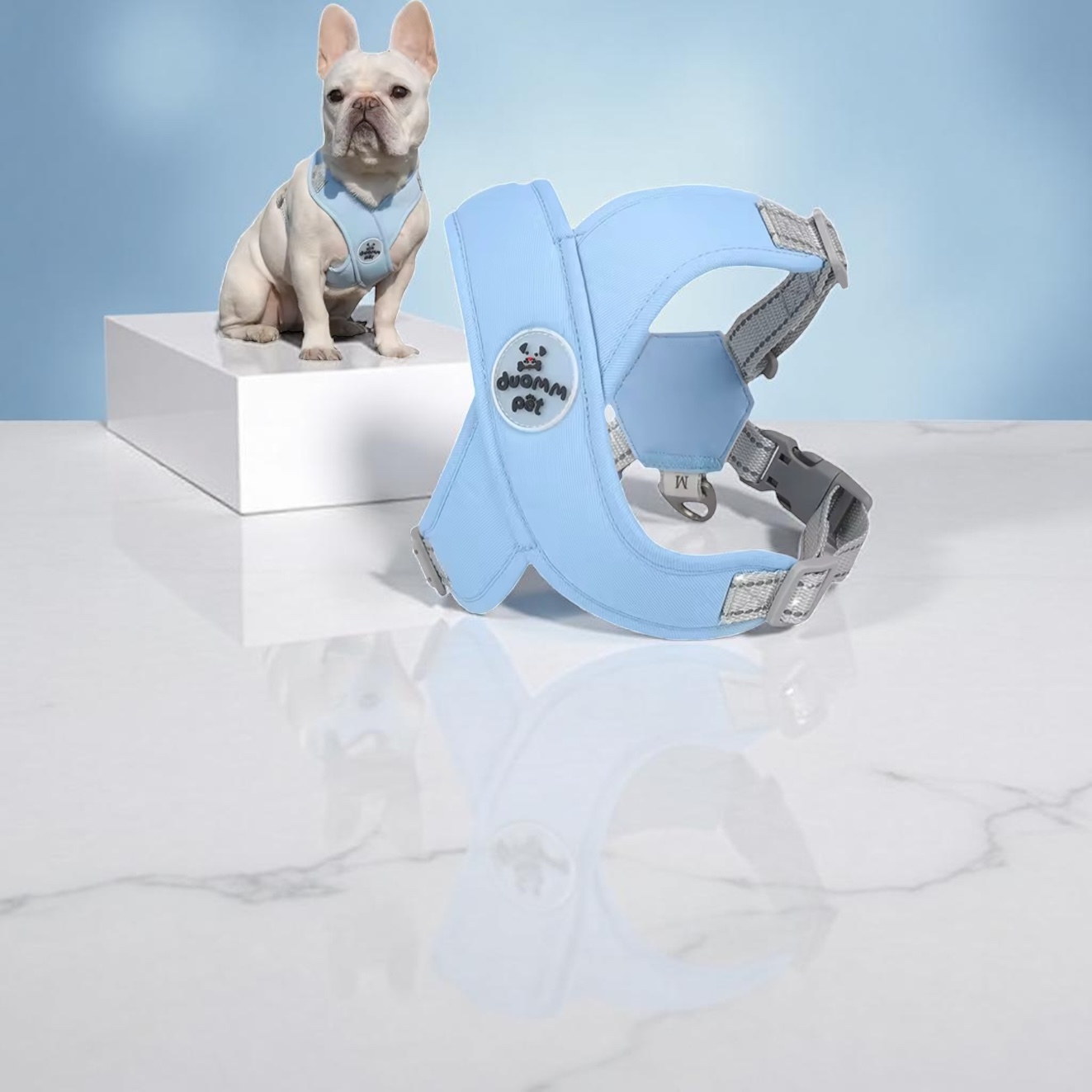 Leash & Luxe Set