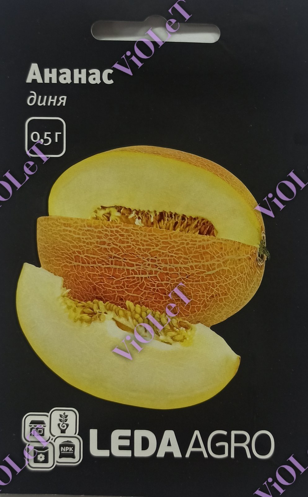 Ананас, диня ранньостигла,  Leda