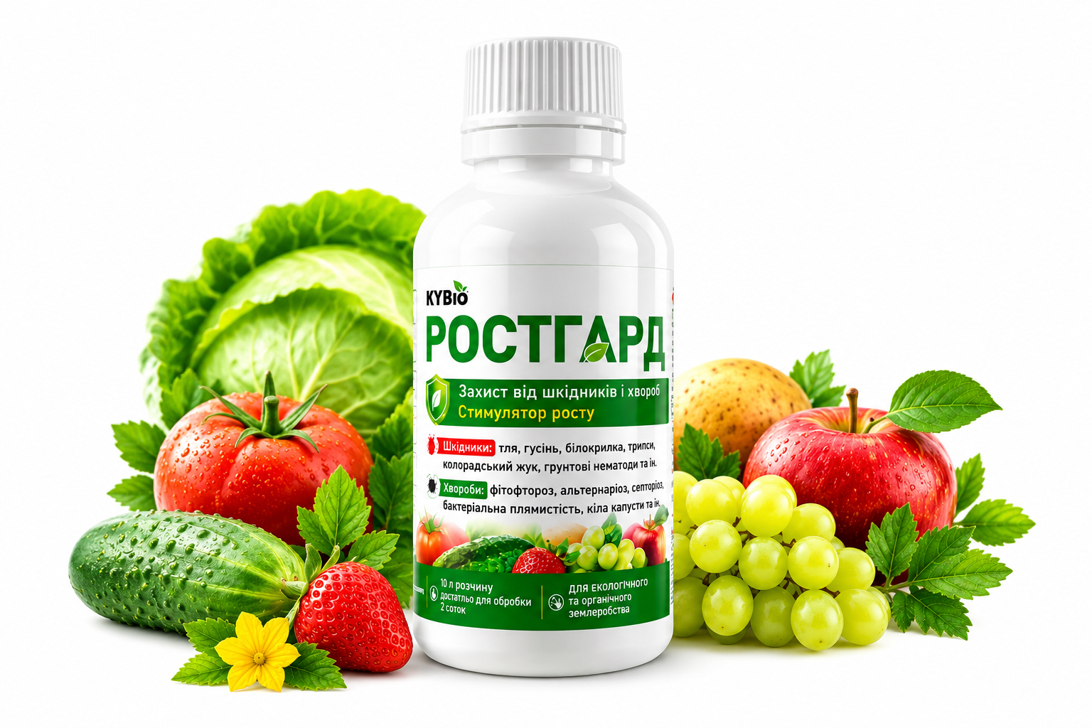 РОСТГАРД