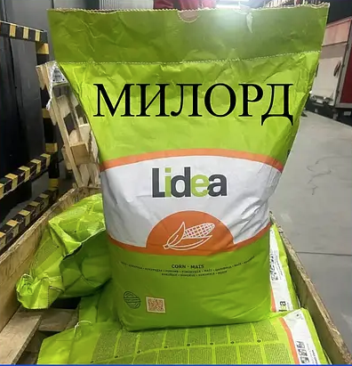 Насіння кукурудзи гібрид ЄС Мілорд ФАО 380 Кукурудза високої врожайності