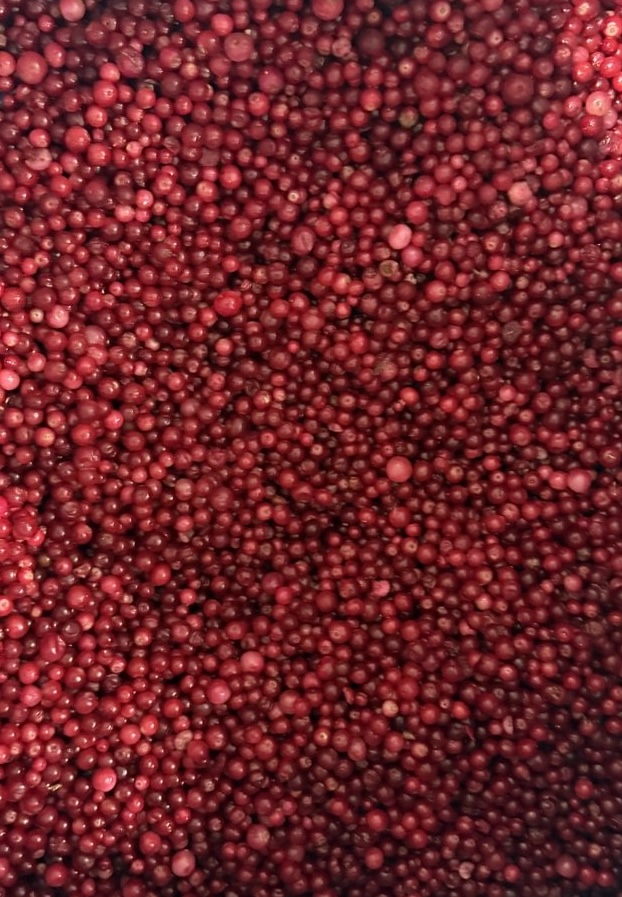 Frozen Lingonberry