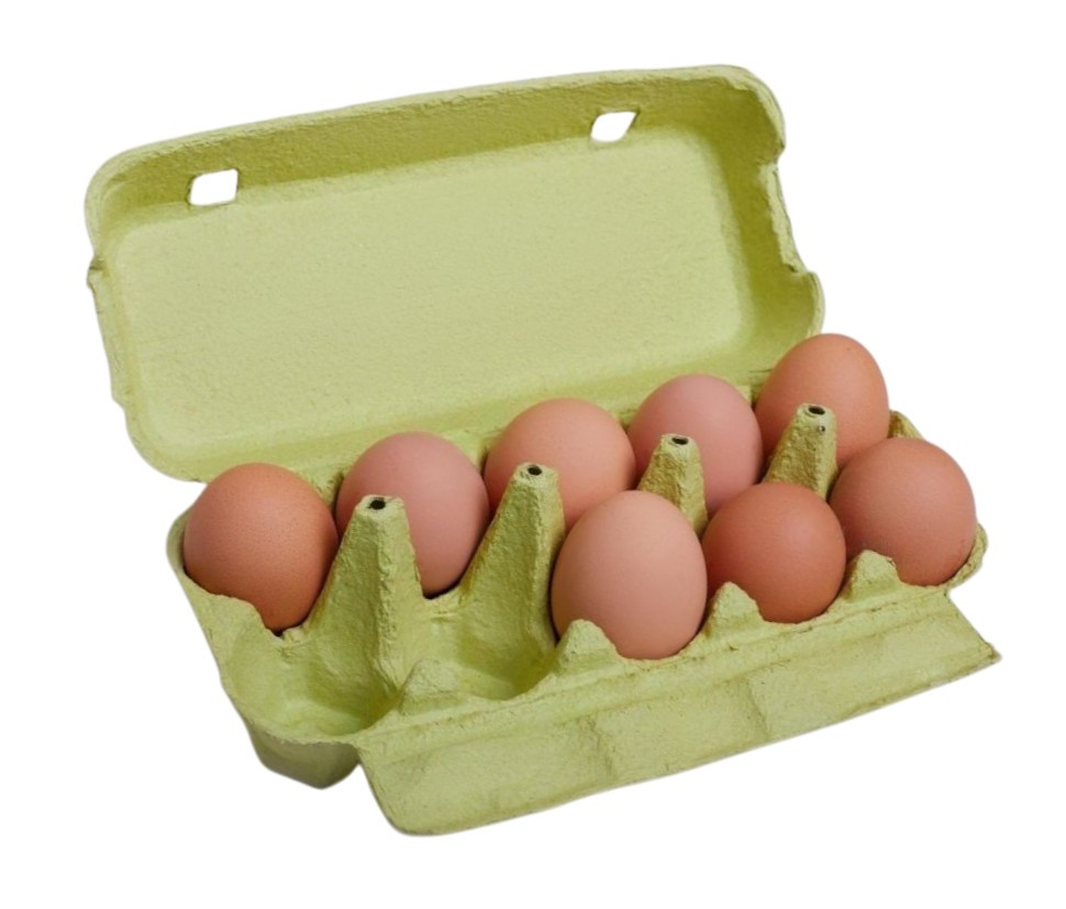 Контейнер для яєць Е3310, 60 шт (без пропитки)