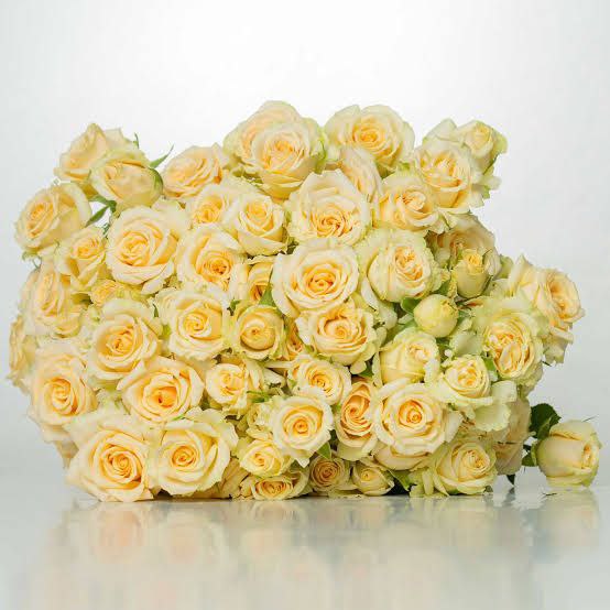 Салінеро (Salinero)