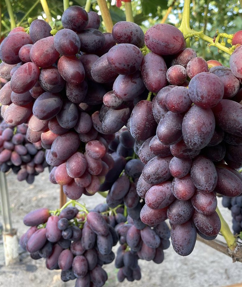 Дніпровський квартал