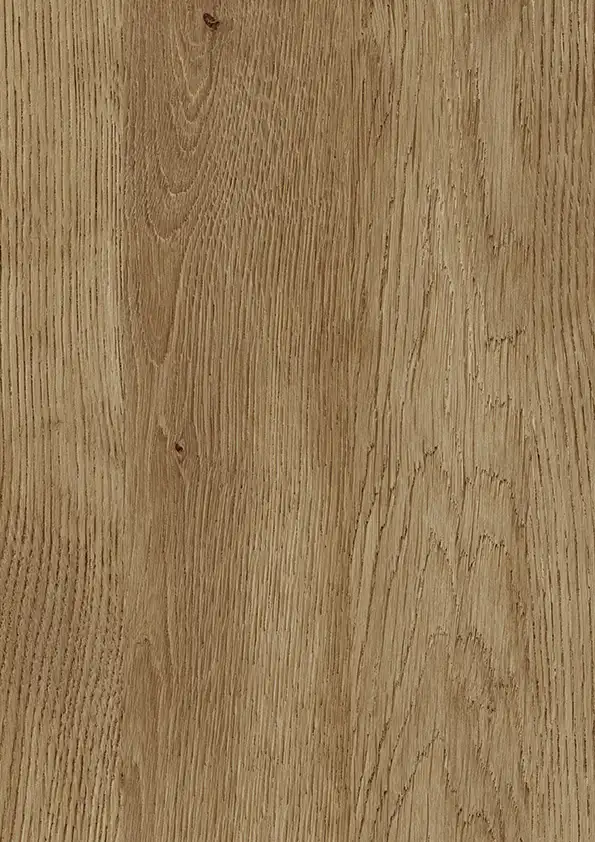 Дуб Ансберг світлий