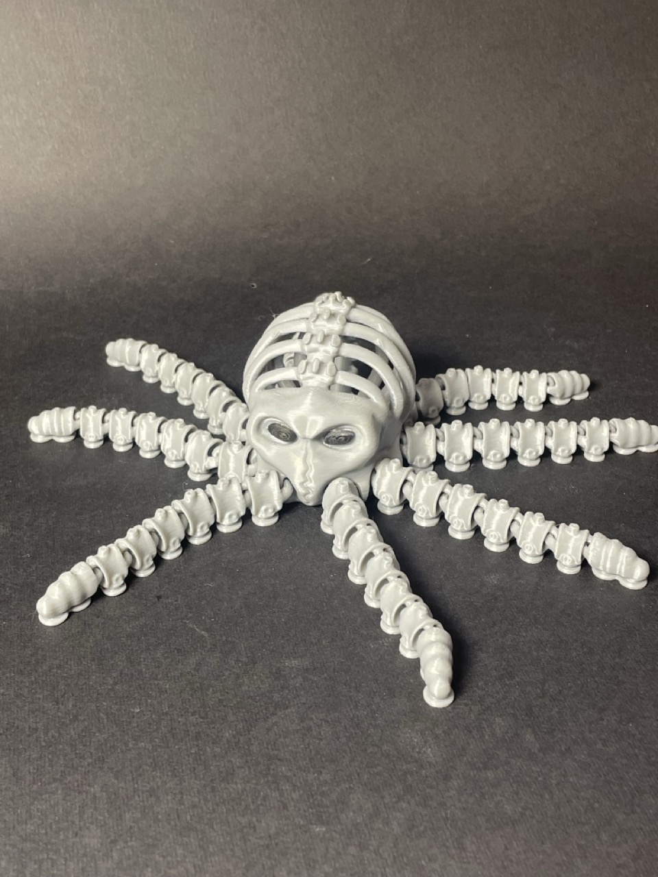 Павук череп рухомий