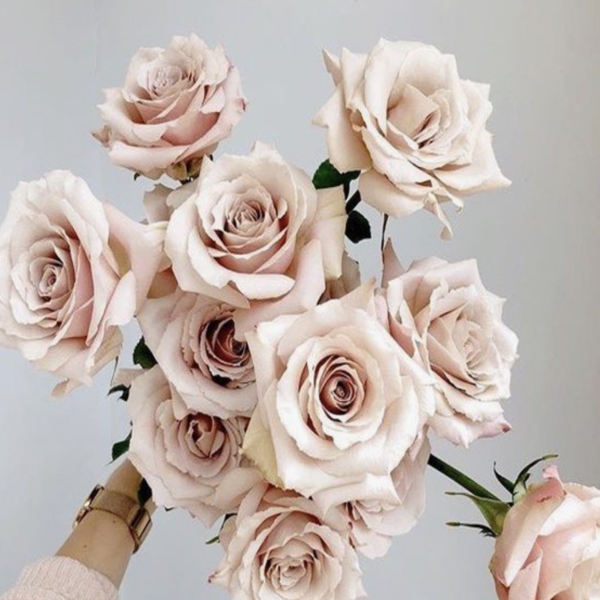 Квіксенд — Quicksand