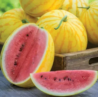 Ред ин Голд F1 арбуз Asia Seed 500 семян