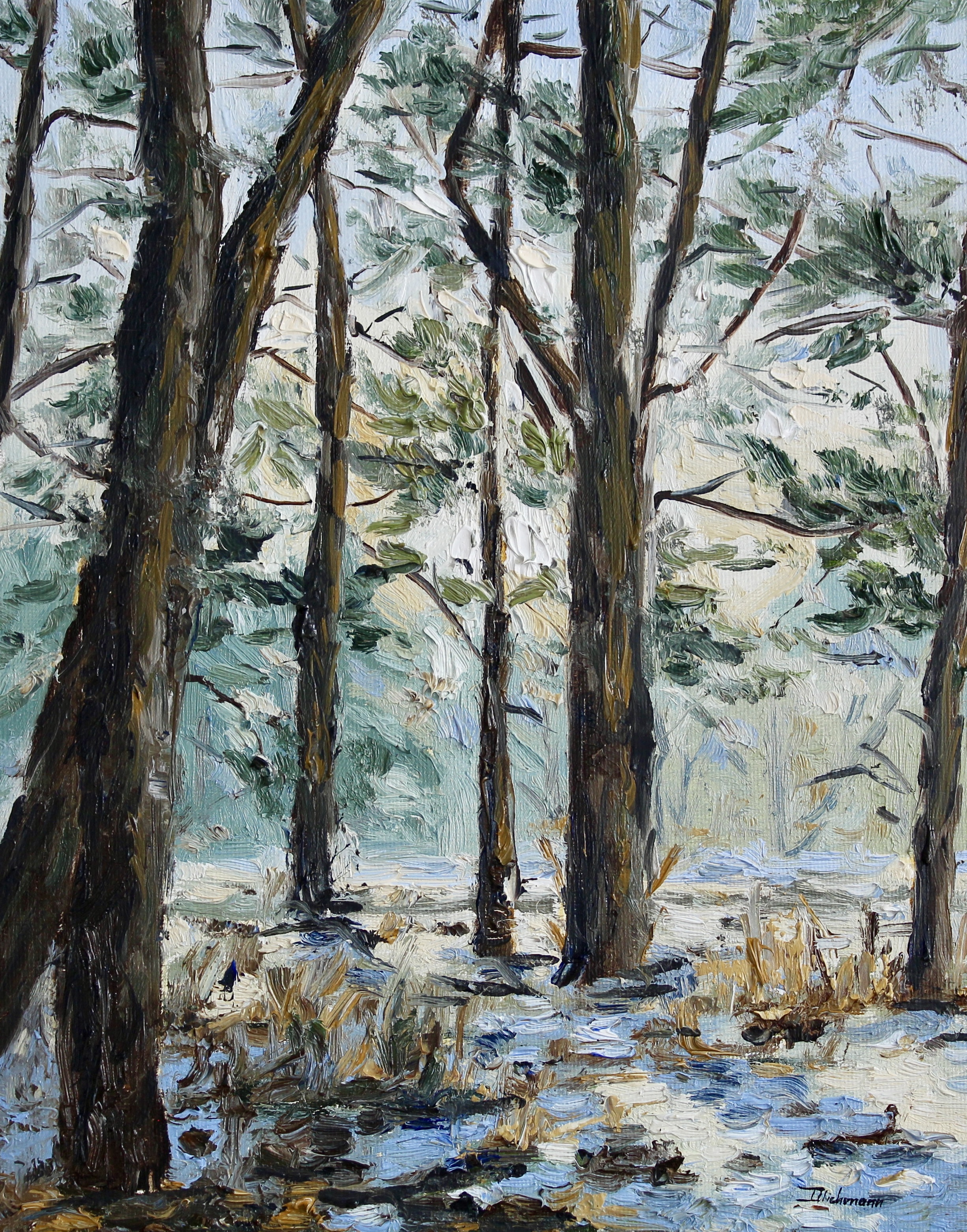 Sunlight through the Pines