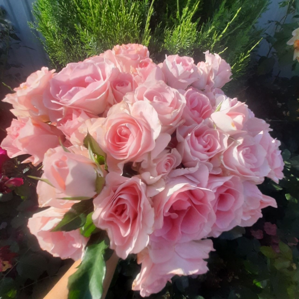 Єс Ай Ду — Yes I do