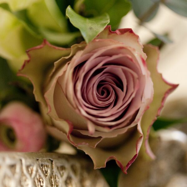 Вінтаж — Vintage