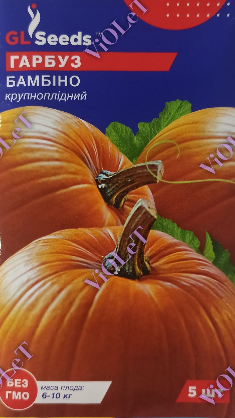 Гарбуз Бамбіно, 5 шт. GL Seeds