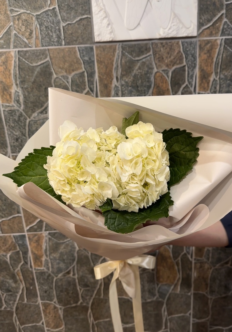 Букет з 1 гортензії