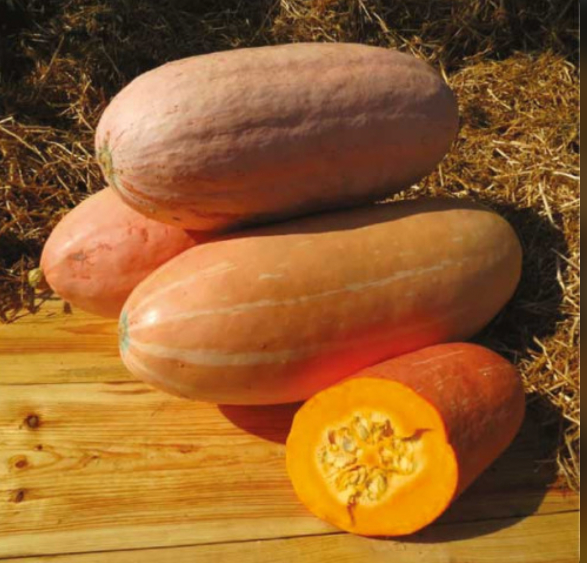 Гарбуз рожевий банан ( найсолодший сорт )