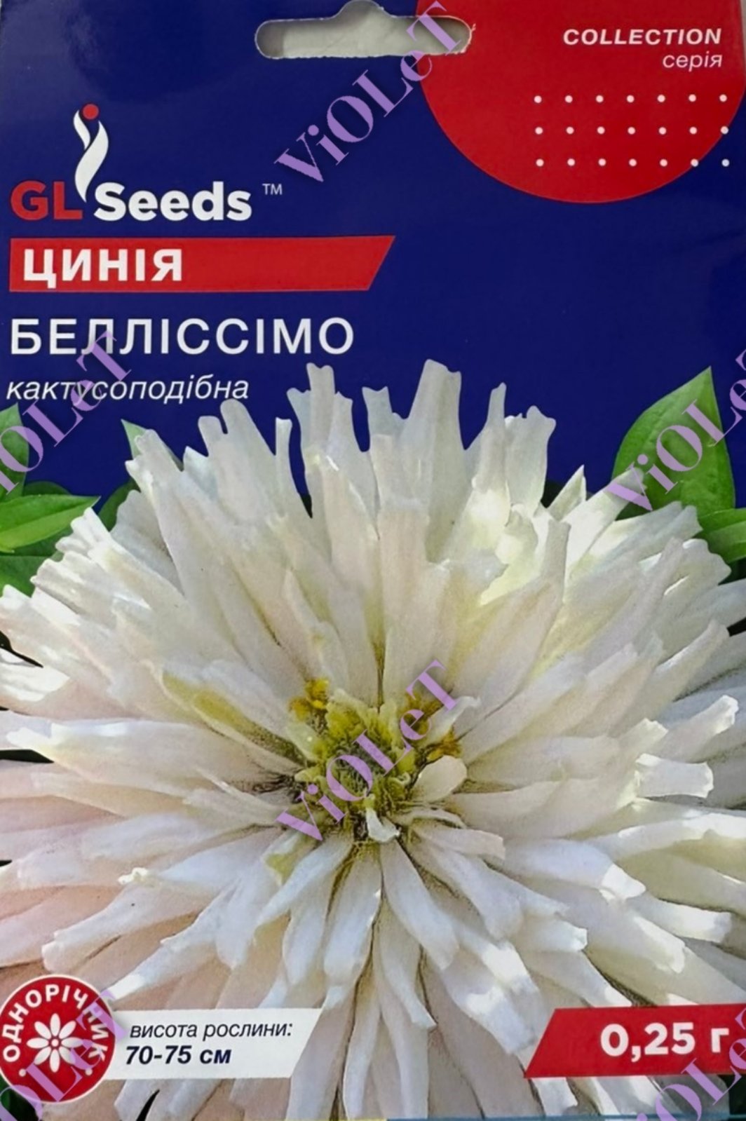 Цинія Белліссімо, 0,25 г GL Seeds