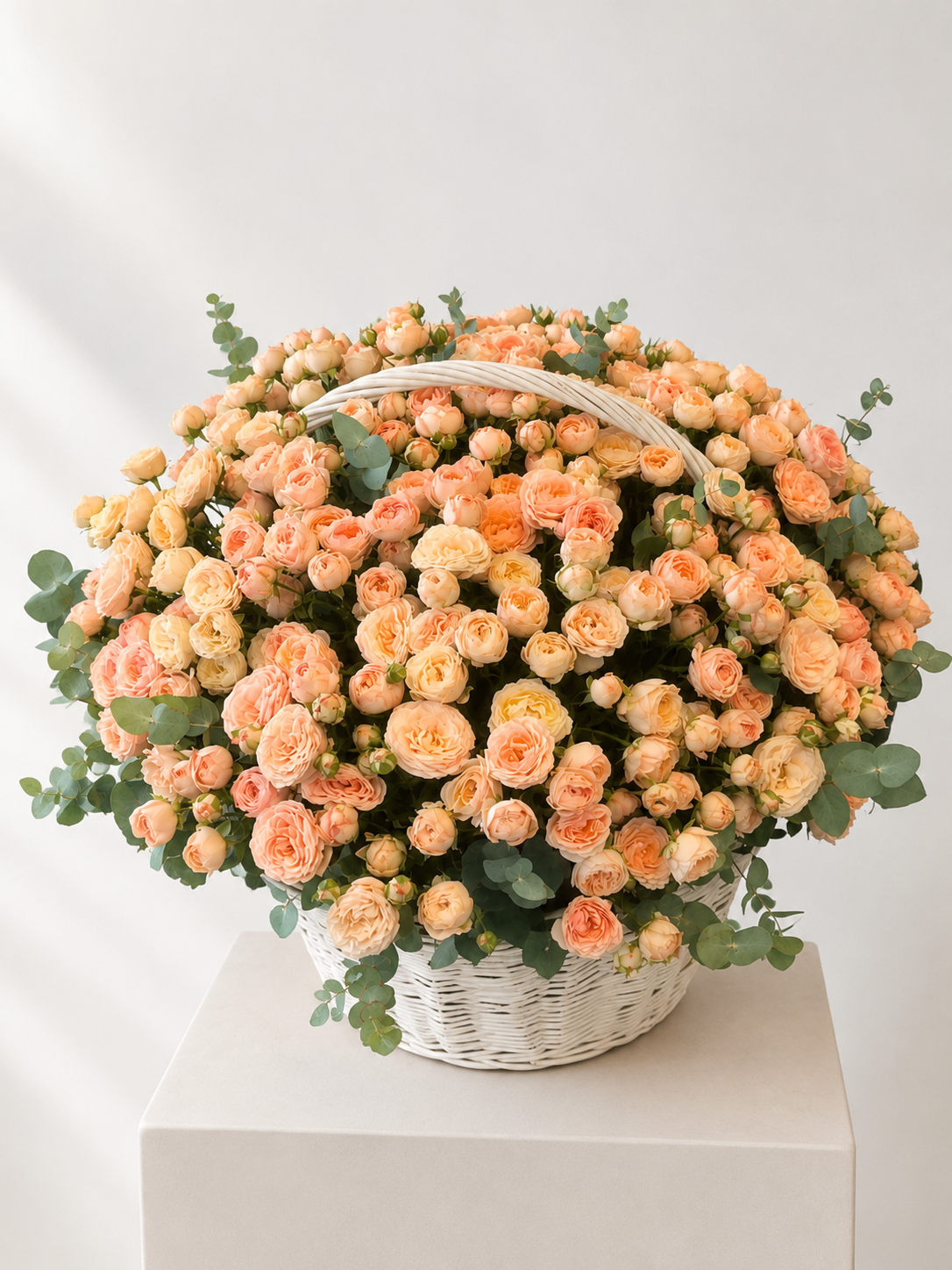 Peach Majesty