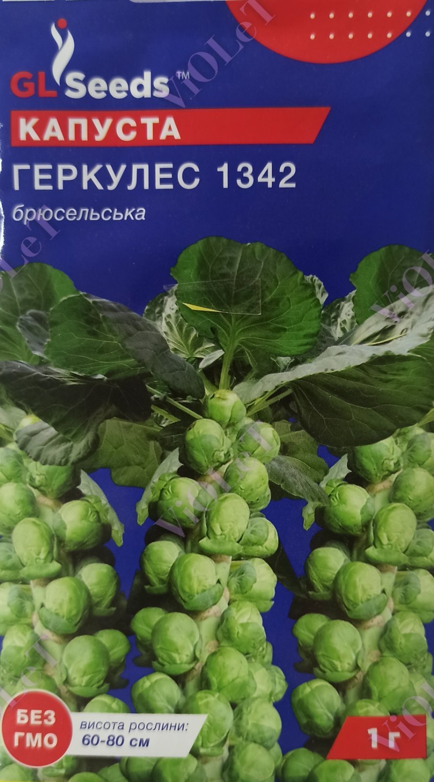 Капуста Геркулес 1342 брюсельська, 1 г GL Seeds