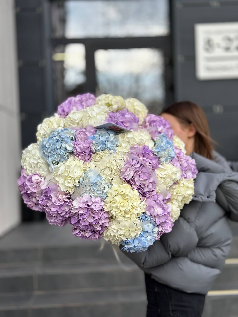 27 гортензій